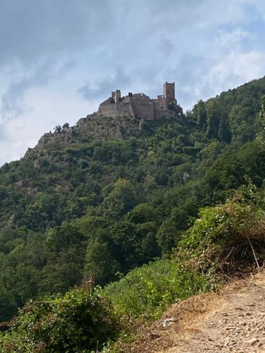 a castle on top of a hill with trees at Mobile home 6personnes ,Alsace , munster France in Munster