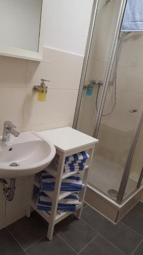 a bathroom with a sink and a shower at Pension Fischerjung in Rostock