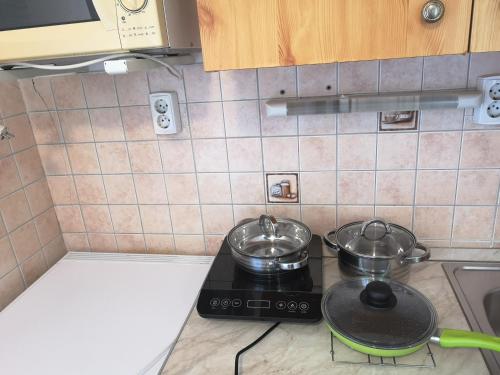Η κουζίνα ή μικρή κουζίνα στο Apartman Kaszás Garden