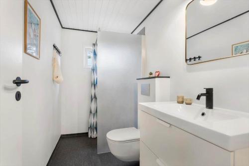 ÅlbækにあるTV1615-Albaek-Lyngstien-17の洗面台とトイレを備えた白いバスルーム
