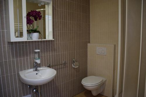 W łazience znajduje się umywalka, toaleta i lustro. w obiekcie Hostel Novak w mieście Novo Mesto