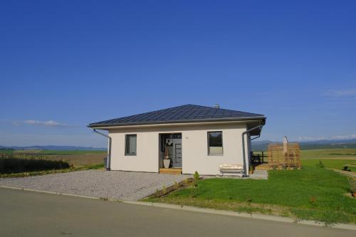 Červene maky - red poppies