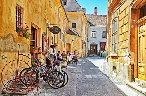 Gallery image of Casa Rozelor in Braşov