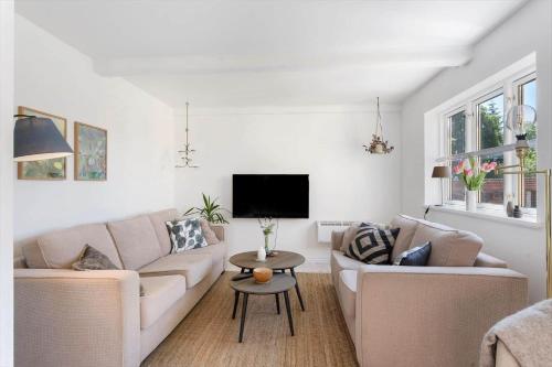 a living room with two couches and a tv at AE316-Aeroskobing-Oster-Bregninge-45 in Ærøskøbing