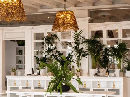 a room with potted plants and chandeliers at Mykonos Blu, A Grecotel Resort to Live in Psarou