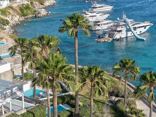 a group of palm trees and boats in a marina at Mykonos Blu, A Grecotel Resort to Live in Psarou