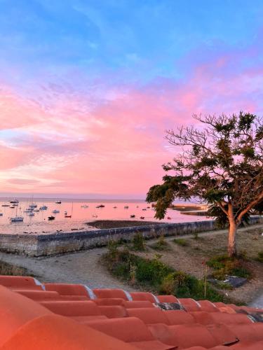 a beach with a tree and boats in the water at Escale Aixoise, gîte de vacances, vue mer, 5 chambres in Île dʼAix