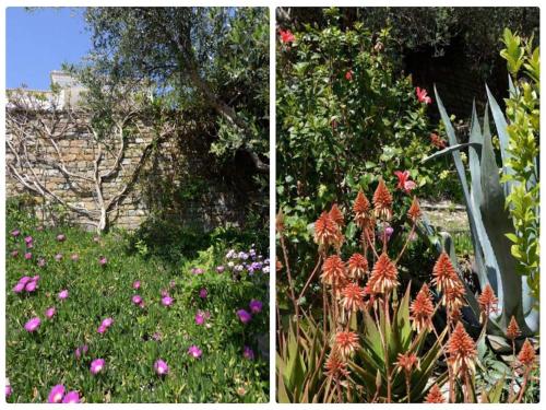 two pictures of a garden with flowers and plants at Villa in Finikounta near Sandy Beach in Finikounta