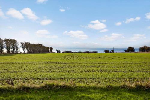 a field of green grass with the ocean in the background at AE227-Soby-Aero-Lebymarksvej-3 in Leby