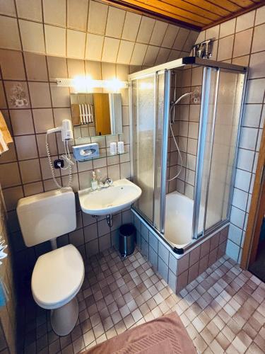 a bathroom with a toilet and a sink and a shower at Pension Milberg Assmannshausen in Rüdesheim am Rhein