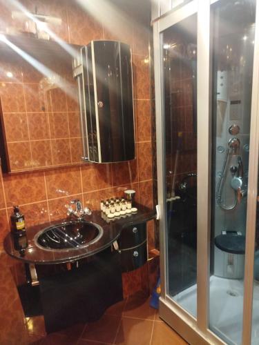 Ένα μπάνιο στο B&B Apartment Mountain View