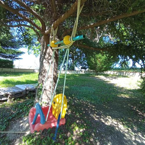 a swing hanging from a tree in a yard at Amor di Lavanda in Cingoli