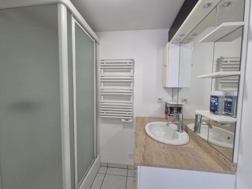 a white bathroom with a sink and a shower at 229 - villa de la fosse a l ane in Le Fuilet