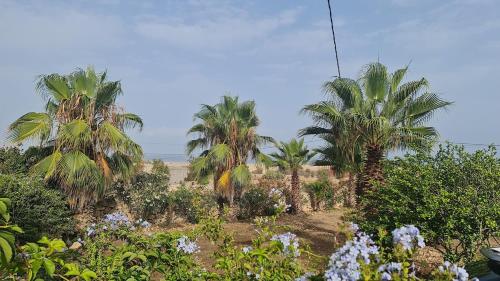 Taman di luar Écolodge "Chez Laurent" avec vue sur mer