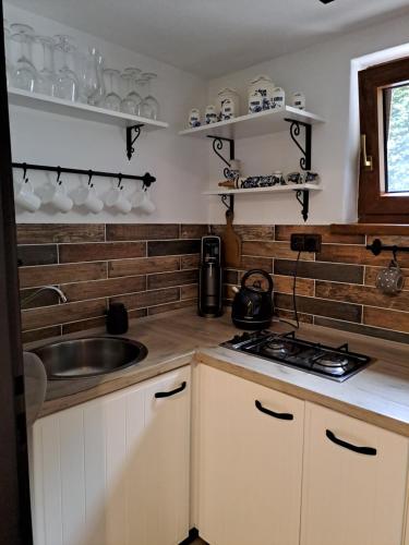 a kitchen with a sink and a stove and shelves at Chata Veronika in Podhradí nad Dyjí