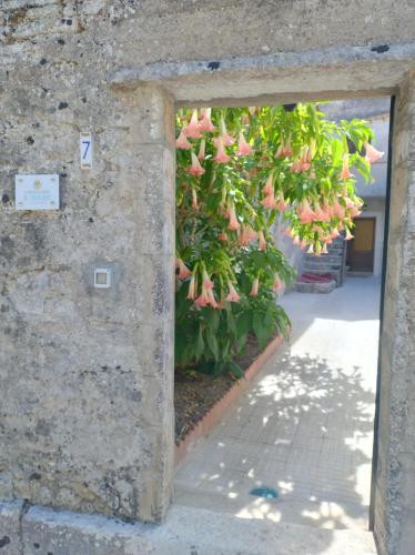 an entrance to a building with a plant with pink flowers at Casa vacanze il ciclope in Erice