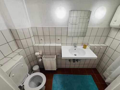 a small bathroom with a toilet and a sink at RheinOase mit Garten für Familien & Gruppen in Koblenz
