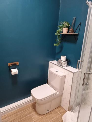 a bathroom with a white toilet and a blue wall at No3 Spacious Apartment Cockermouth in Cockermouth