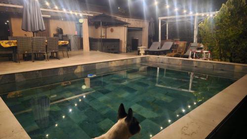 house, swimming pool, jacuzzi 6-8 people
