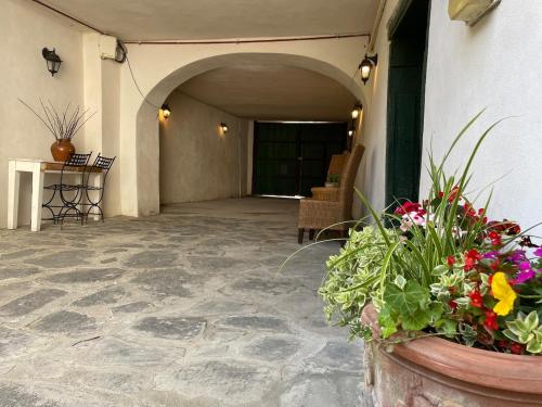 a hallway with flowers in a pot on the side of a building at Casa Crown in Sighişoara