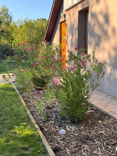 a garden in front of a house with flowers at Öregvíz Vendégház in Szentendre
