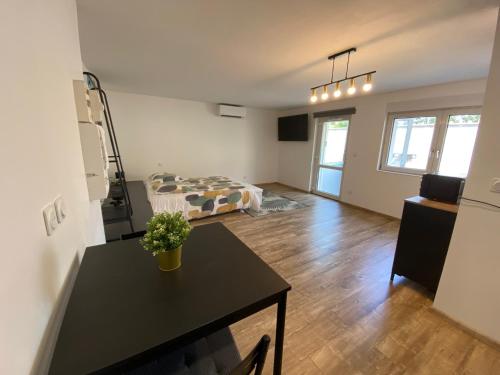 Studio climatisé 30 m2 à 2 min de Colmar