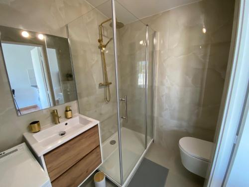 a bathroom with a shower and a sink and a toilet at Studio climatisé 30 m2 à 2 min de Colmar in Horbourg