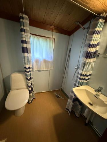 a bathroom with a toilet and a sink at Åndalsnes Hytteutleie in Åndalsnes