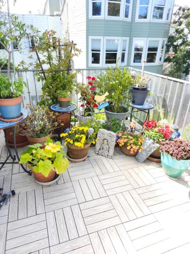 Entire 2BR, centrally-located, w/parking!にある庭