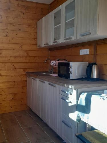 a kitchen with a counter top with a microwave at Barangoló vendégház in Bárdudvarnok