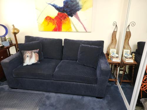 a living room with a couch with a dog pillow at Centrally located; Walk anywhere! in San Francisco