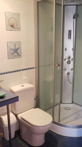 a bathroom with a toilet and a shower at Pension Casa 400 in Vitoria-Gasteiz