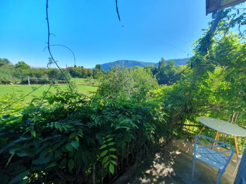 Paesaggio naturale nelle vicinanze dell'affittacamere