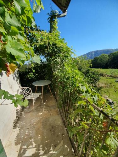 Paesaggio naturale nelle vicinanze dell'affittacamere