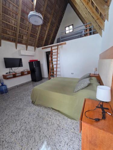 a bedroom with a large green bed and a television at Charming Bungalow with Pool in Sosúa