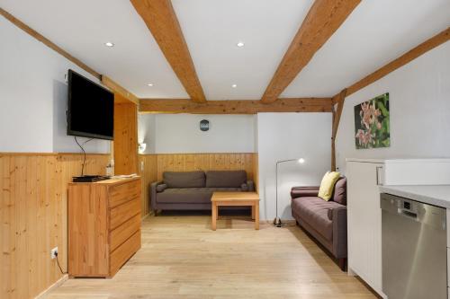 a living room with a couch and a tv at Müllerjörgenhof in Gutach