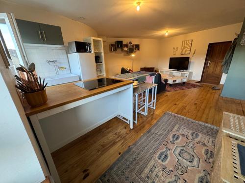a kitchen with a counter top and a living room at Modern and old T2 in Condrieu