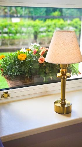 a lamp sitting on a table in front of a window at Devlin's cottage near Slane in Slane