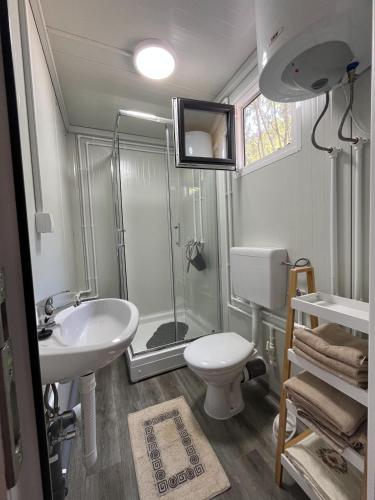 a bathroom with a shower and a sink and a toilet at Altair House 