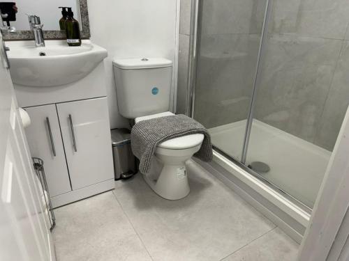 a bathroom with a toilet and a shower and a sink at Delightful Self Contained Garden View Retreat in Wincobank