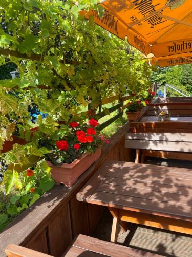Κήπος έξω από το Gasthaus Bellevue