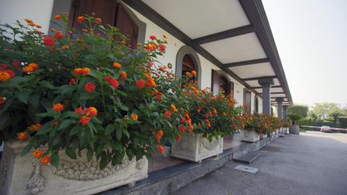Zahrada ubytování Hotel la Fenice