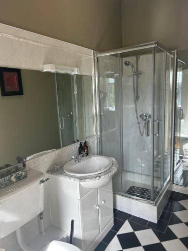 a bathroom with a sink and a shower at The Almanage in Clogheen