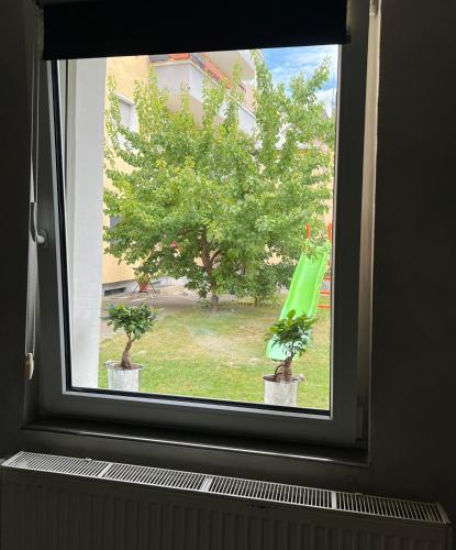 a window with two potted plants and a green umbrella at Moderne City Wohnung Paderborn Zentrum in Paderborn