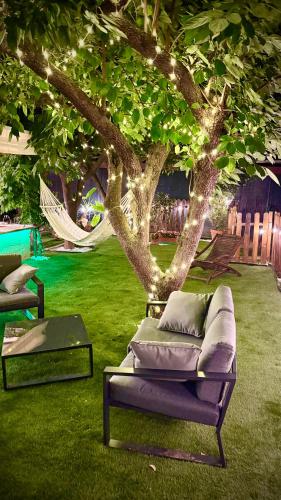 a couch sitting under a tree in a yard at Resort Dependance di Villa Rosa Maria in Savona