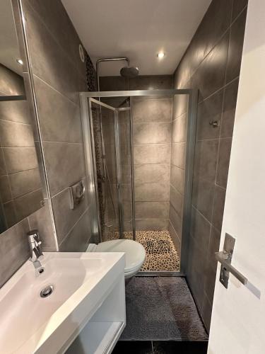 a bathroom with a shower and a toilet and a sink at Eden des neige in Vars