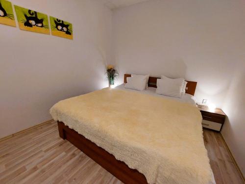 a bedroom with a large bed in a room at Apartment ČSA #5 in the Historic Center Hradec Králové in Hradec Králové