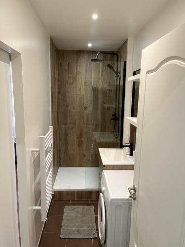 a small bathroom with a shower and a sink at Disneyland Paris-Meaux 20 minutes in Meaux