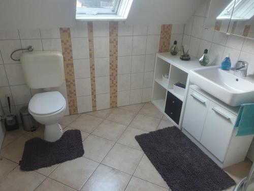a bathroom with a toilet and a sink at Vacation home apartment for fitters in Knetzgau