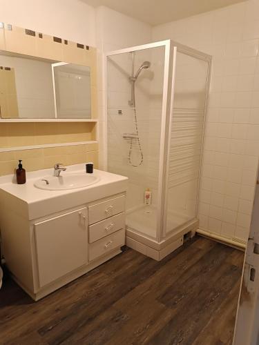ルーアンにあるHypercenter apartmentのシャワーと洗面台のある白いバスルーム